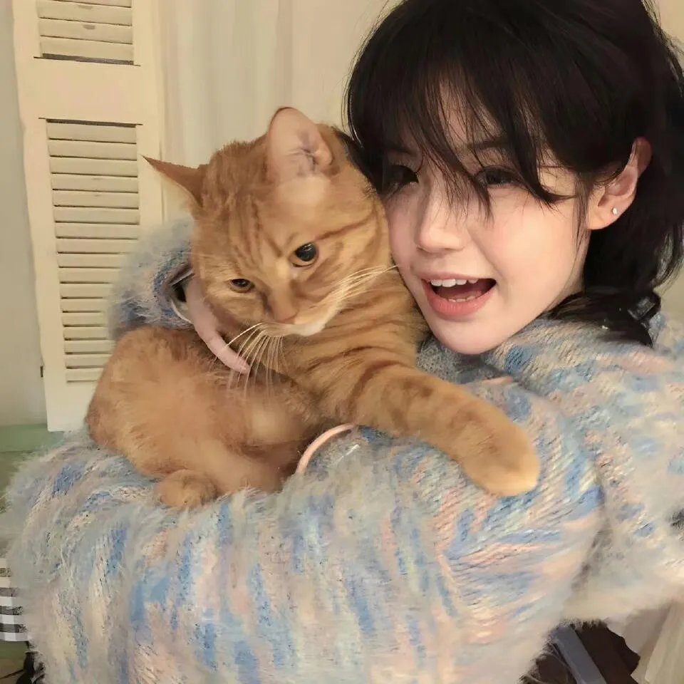 正麦肯齐金总理秘史♂
