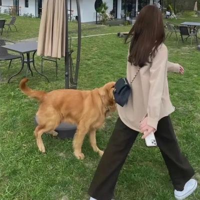 我爱爱爱你